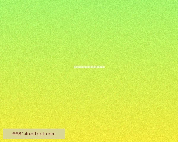 创意午餐盒设计与健康饮食理念的完美融合探索