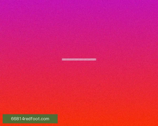 北二外校花逆袭成长记：从校园新人到闪耀职场的励志之路