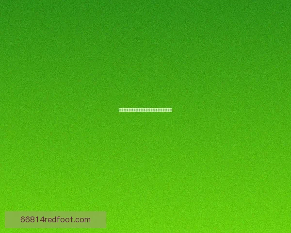 如何查询英雄联盟段位详情及提升技巧解析全攻略