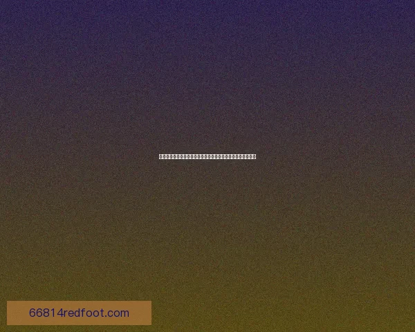 探索窝窝世界的魅力，带你走进一个充满奇趣与发现的全新世界