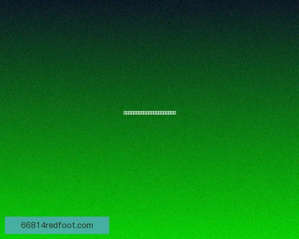 梦幻拍卖会：稀世珍品与奇幻宝物的盛大争夺战