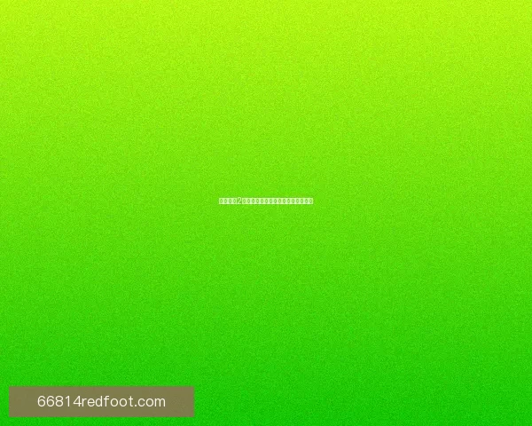 火炬之光2局域网联机玩法攻略与常见问题解答